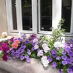 Du Parc Montsouris Hotel Parigi